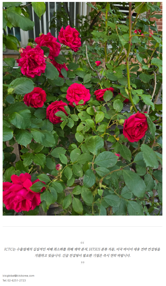 a9d8f40327eeb26146e070e8ccdb92f3_1749619715_0575.png